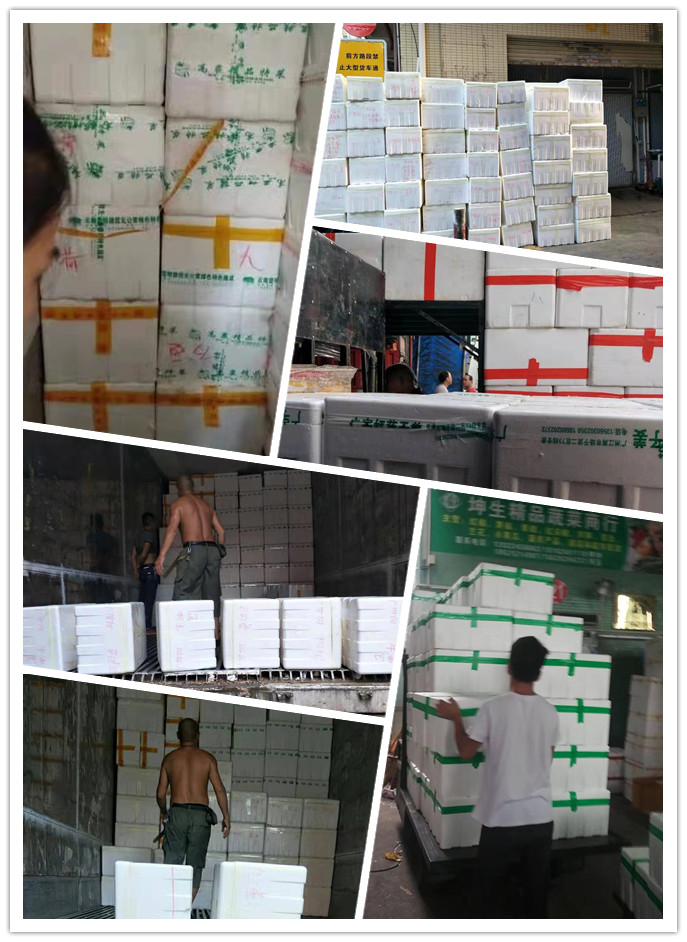 首页| 402cc永利集团中国区官方网站