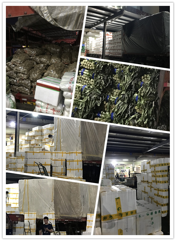 首页| 402cc永利集团中国区官方网站