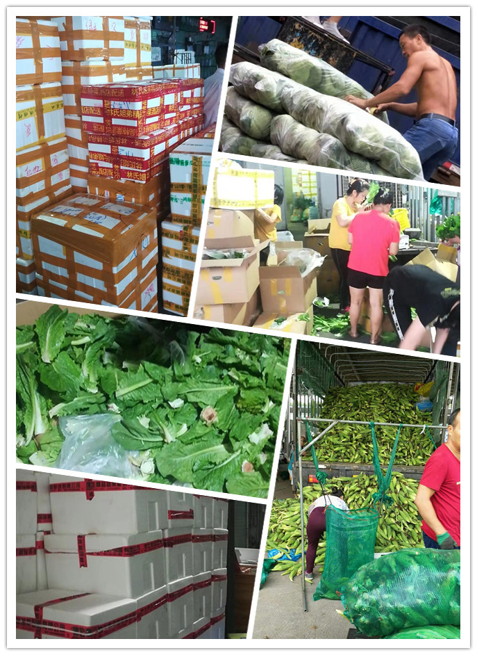 首页| 402cc永利集团中国区官方网站