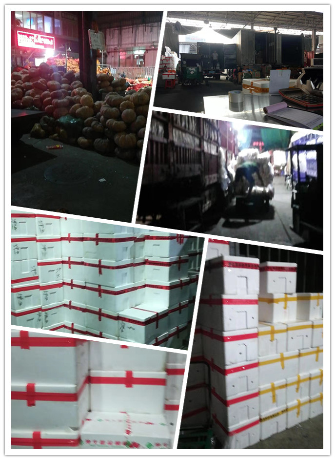 首页| 402cc永利集团中国区官方网站