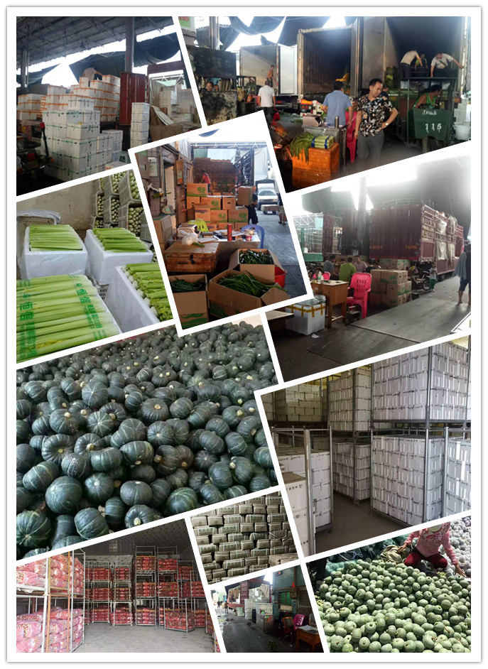 首页| 402cc永利集团中国区官方网站