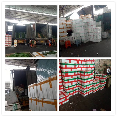 首页| 402cc永利集团中国区官方网站