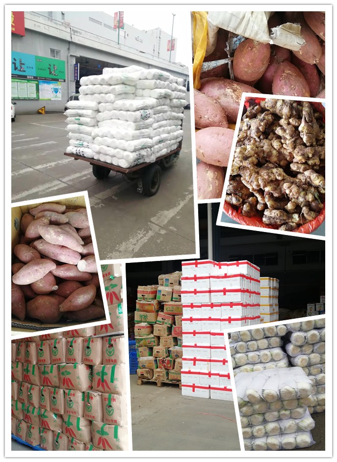 首页| 402cc永利集团中国区官方网站