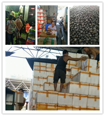 首页| 402cc永利集团中国区官方网站