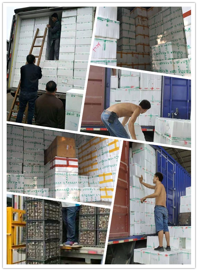 首页| 402cc永利集团中国区官方网站