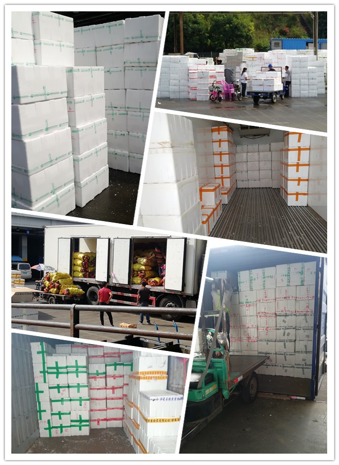 首页| 402cc永利集团中国区官方网站