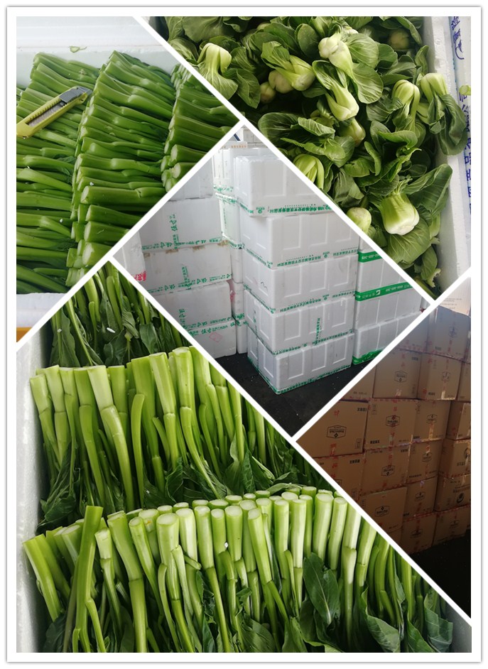 首页| 402cc永利集团中国区官方网站