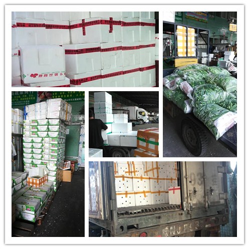 首页| 402cc永利集团中国区官方网站