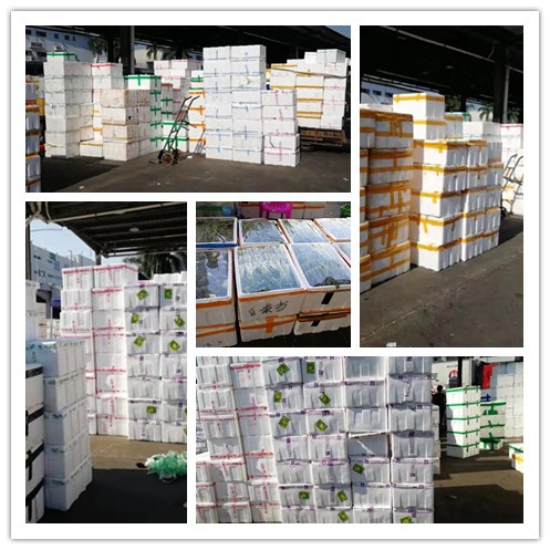 首页| 402cc永利集团中国区官方网站