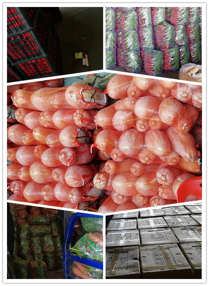 首页| 402cc永利集团中国区官方网站