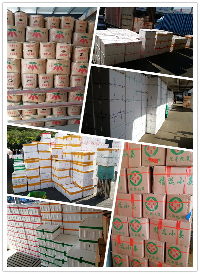 首页| 402cc永利集团中国区官方网站