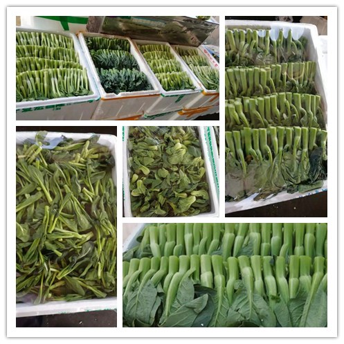 首页| 402cc永利集团中国区官方网站