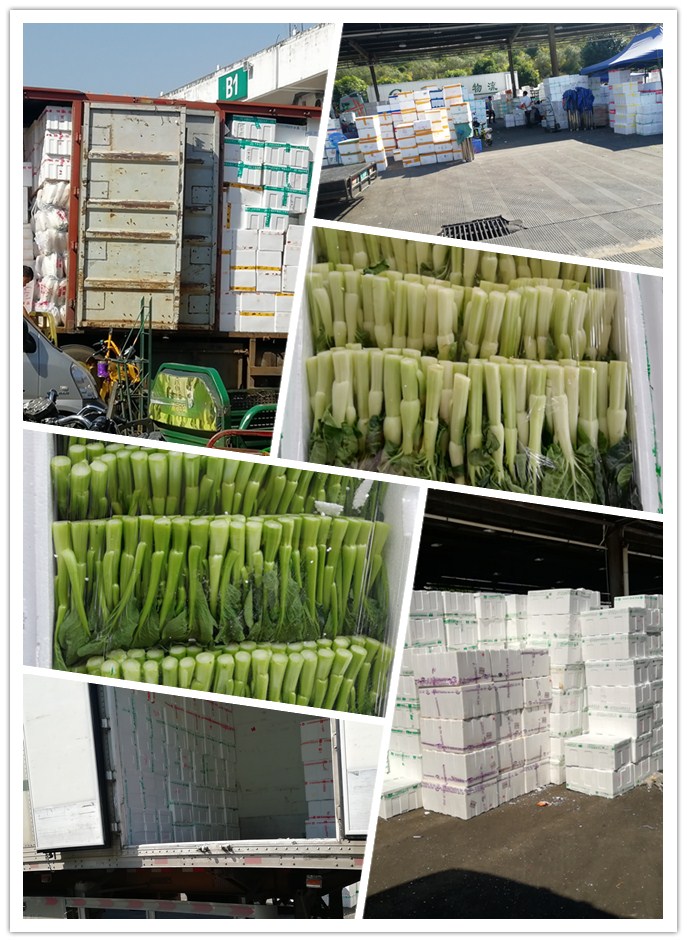 首页| 402cc永利集团中国区官方网站