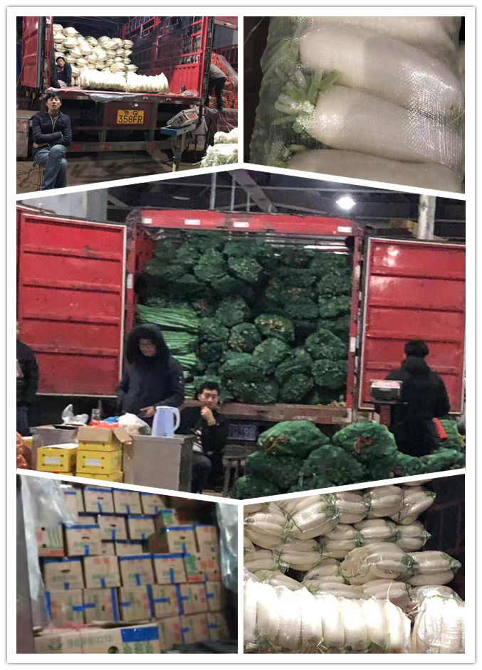 首页| 402cc永利集团中国区官方网站