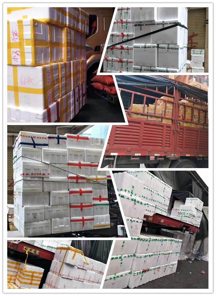 首页| 402cc永利集团中国区官方网站