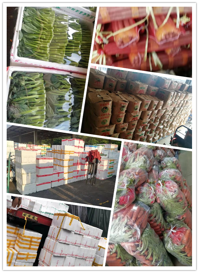 首页| 402cc永利集团中国区官方网站