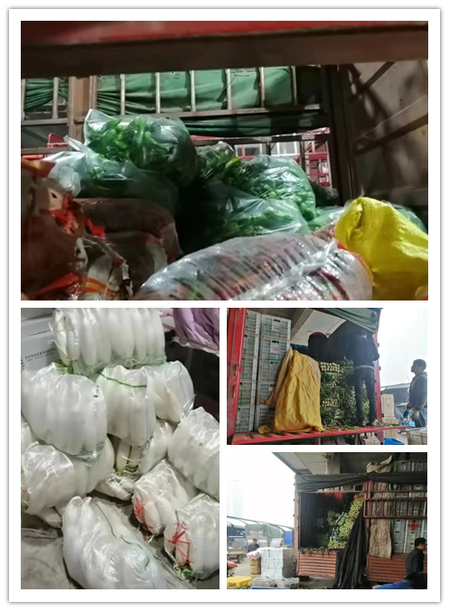 首页| 402cc永利集团中国区官方网站