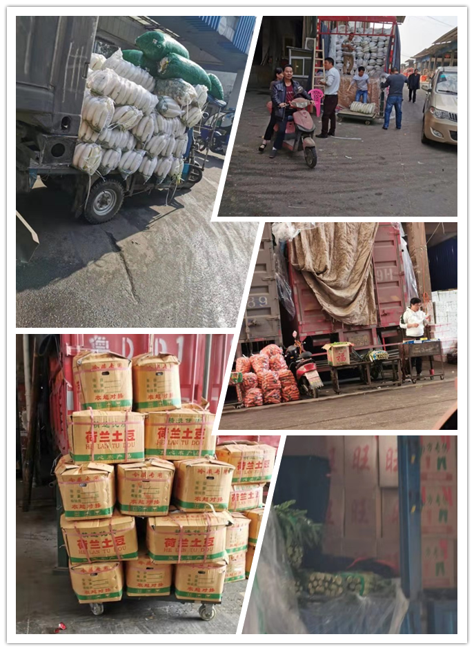 首页| 402cc永利集团中国区官方网站