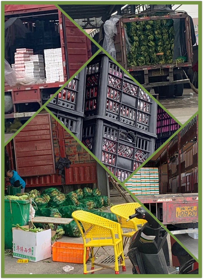 首页| 402cc永利集团中国区官方网站