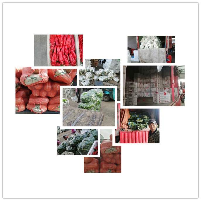 首页| 402cc永利集团中国区官方网站