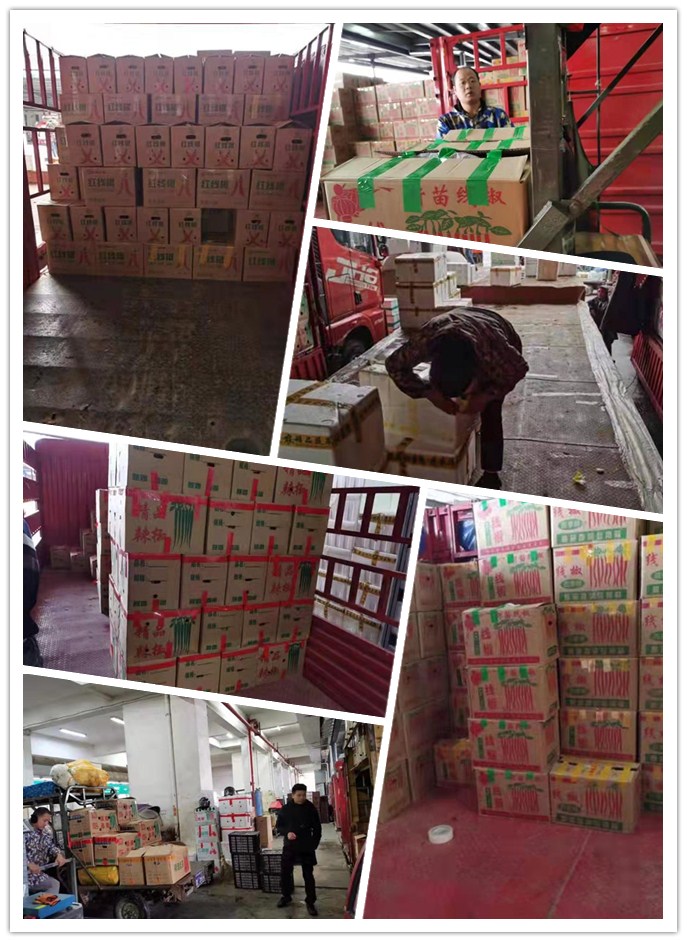 首页| 402cc永利集团中国区官方网站