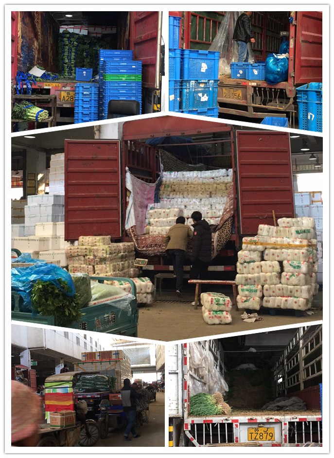 首页| 402cc永利集团中国区官方网站