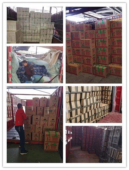 首页| 402cc永利集团中国区官方网站