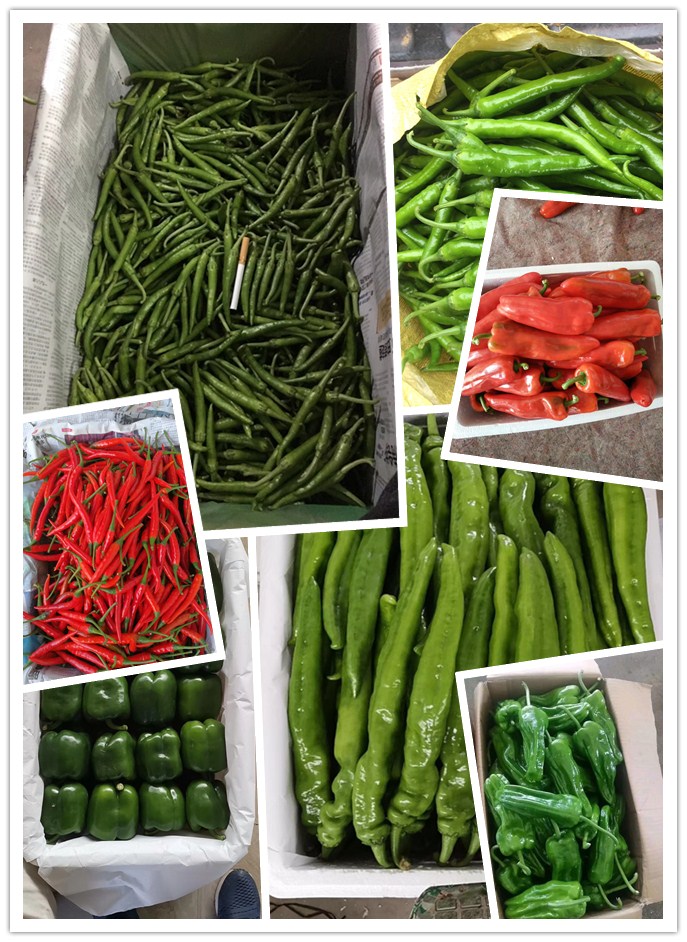 首页| 402cc永利集团中国区官方网站