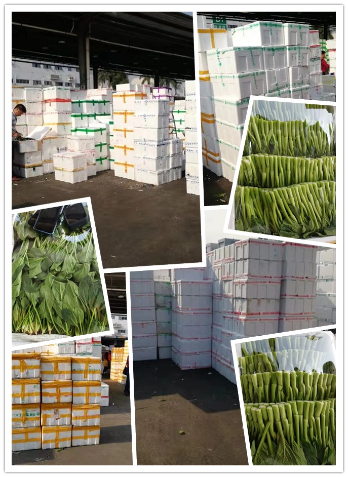 首页| 402cc永利集团中国区官方网站