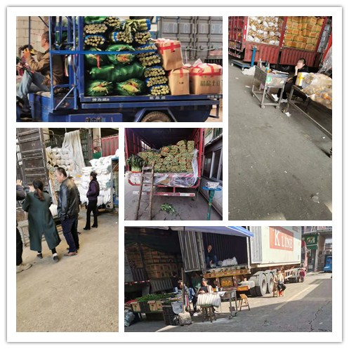 首页| 402cc永利集团中国区官方网站