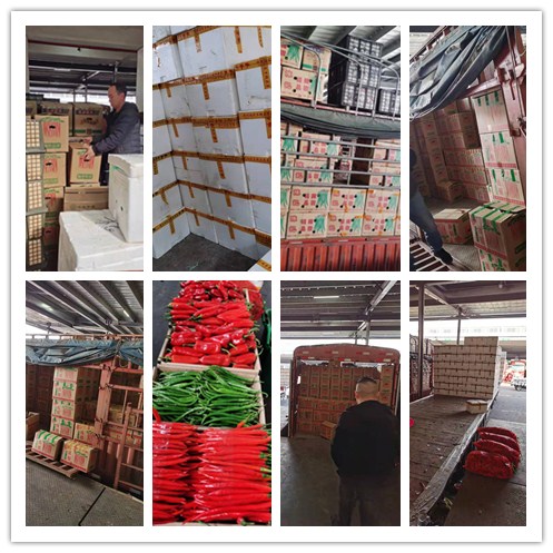 首页| 402cc永利集团中国区官方网站