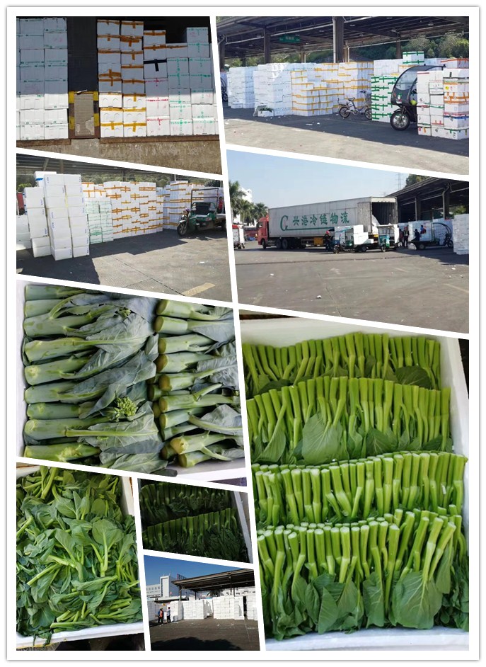 首页| 402cc永利集团中国区官方网站