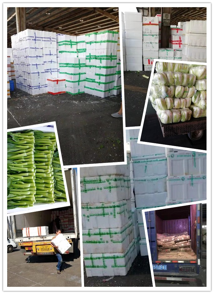 首页| 402cc永利集团中国区官方网站