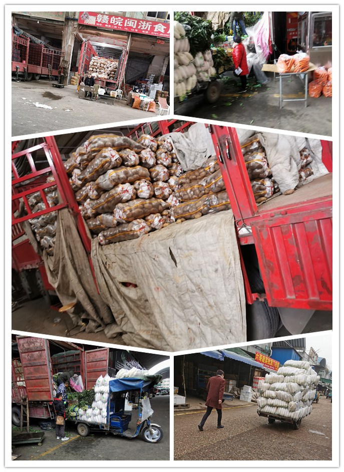 首页| 402cc永利集团中国区官方网站