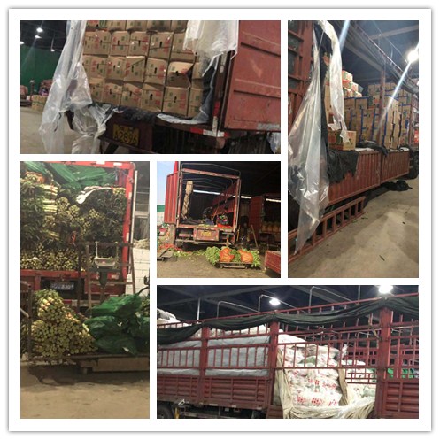 首页| 402cc永利集团中国区官方网站