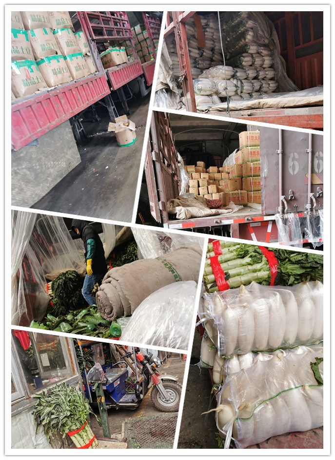 首页| 402cc永利集团中国区官方网站