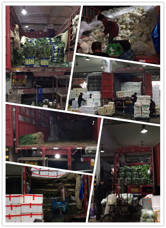 首页| 402cc永利集团中国区官方网站