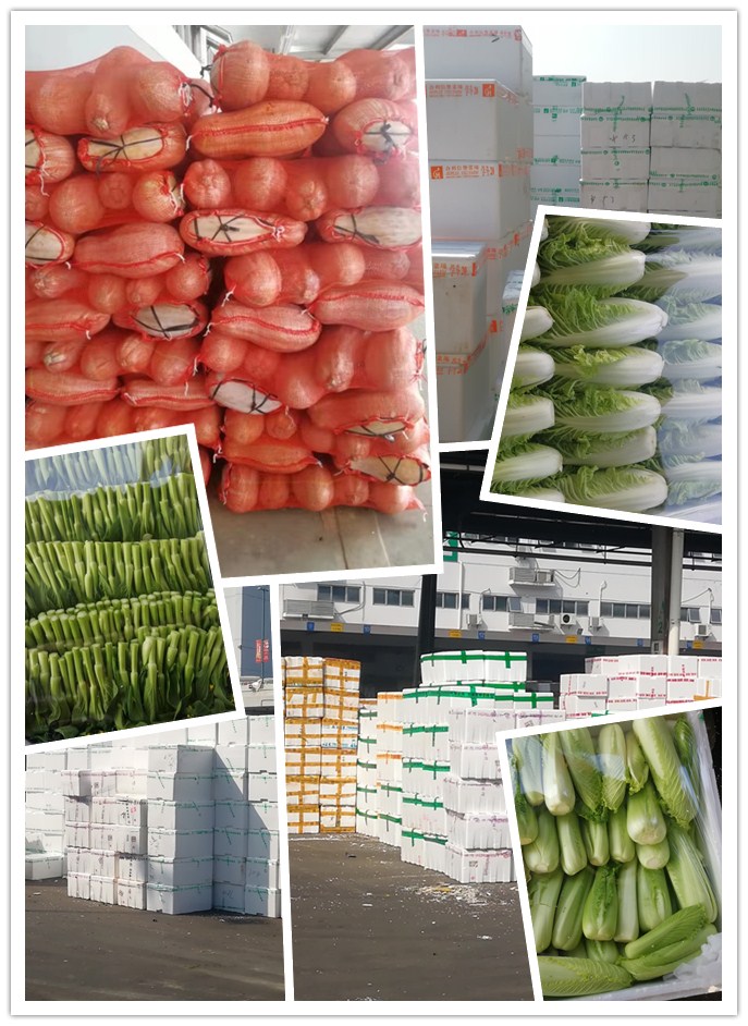 首页| 402cc永利集团中国区官方网站