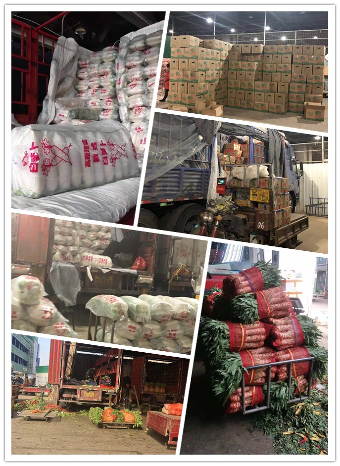 首页| 402cc永利集团中国区官方网站