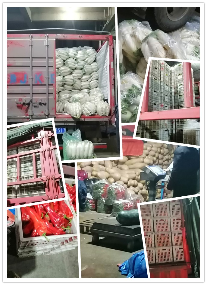 首页| 402cc永利集团中国区官方网站