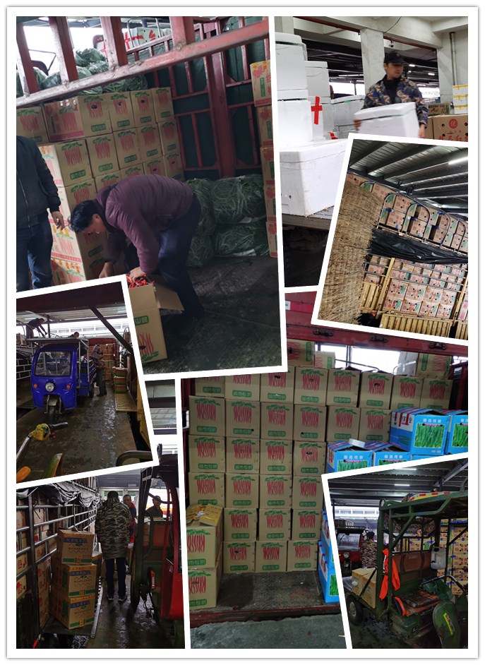 首页| 402cc永利集团中国区官方网站