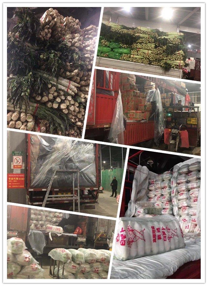 首页| 402cc永利集团中国区官方网站