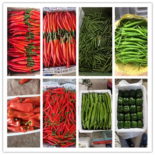 首页| 402cc永利集团中国区官方网站