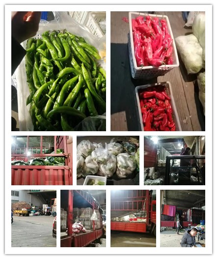 首页| 402cc永利集团中国区官方网站