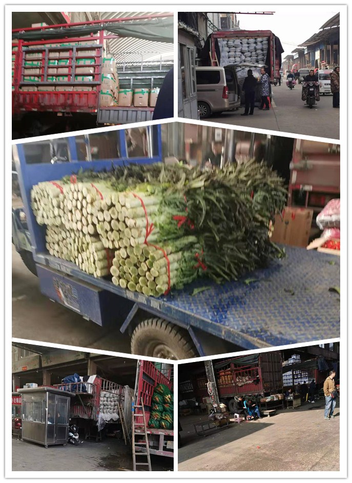 首页| 402cc永利集团中国区官方网站