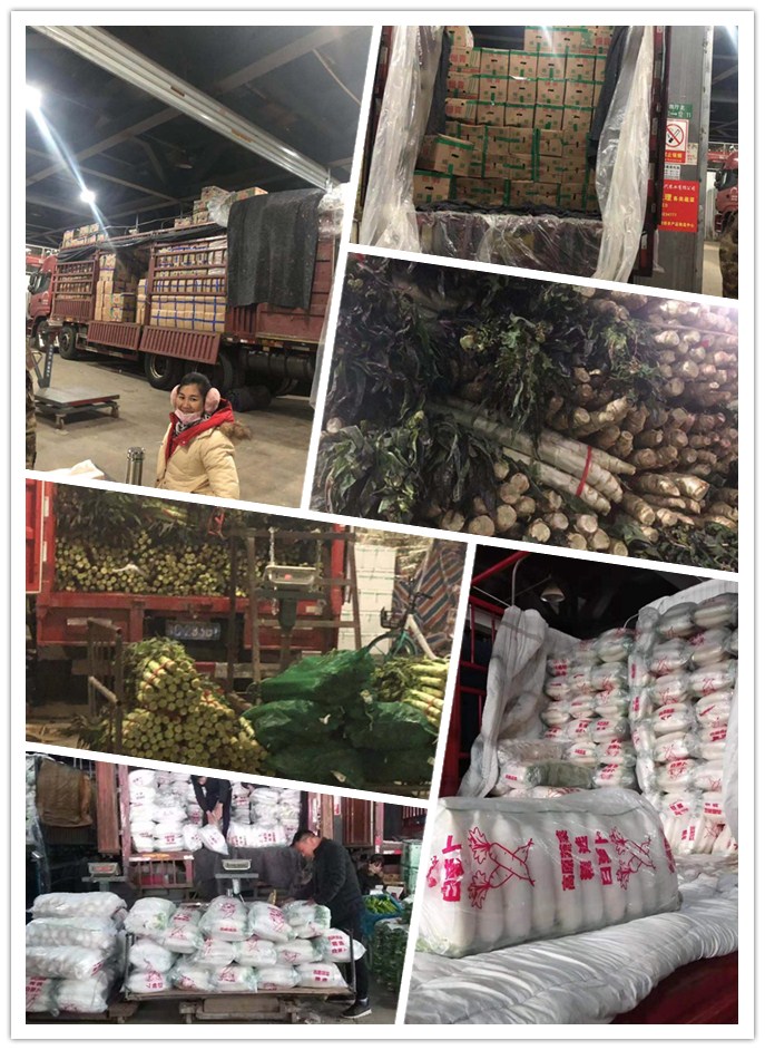 首页| 402cc永利集团中国区官方网站