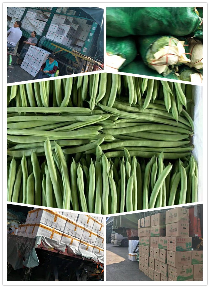 首页| 402cc永利集团中国区官方网站