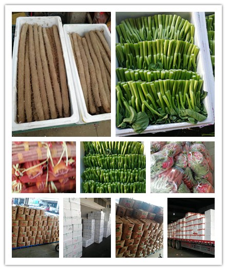 首页| 402cc永利集团中国区官方网站