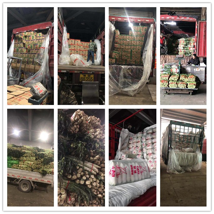 首页| 402cc永利集团中国区官方网站