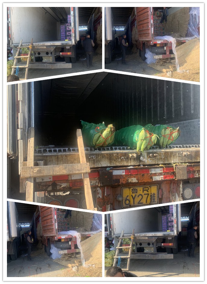 首页| 402cc永利集团中国区官方网站